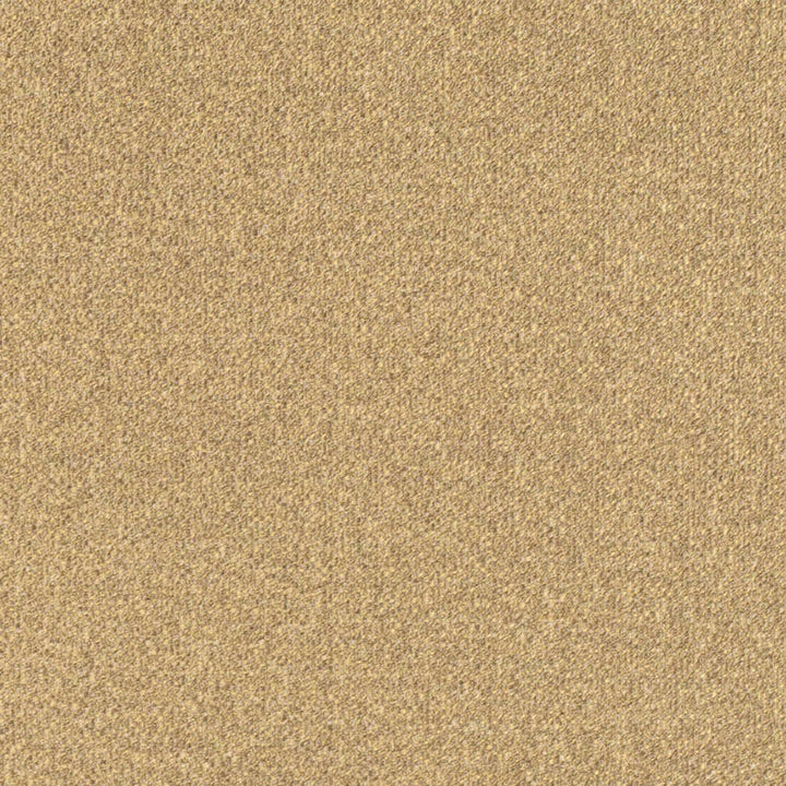 D3243 by Charlotte Fabric Old World Classics II 100% Polyester Spain Exceeds 42,000 Wyzenbeek Rubs (Heavy Duty) No Repeat 54 Inches - Fabric Carolina -