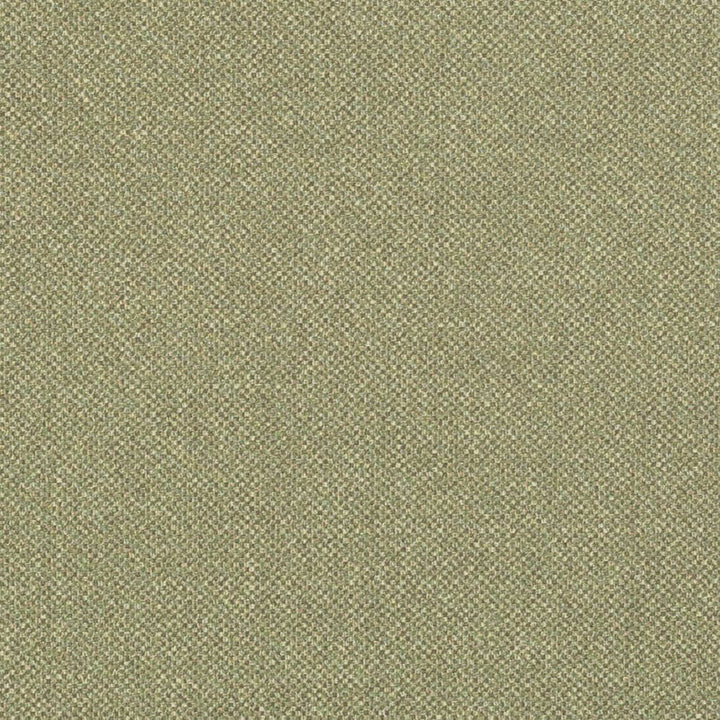 D3244 by Charlotte Fabric Old World Classics II 100% Polyester Spain Exceeds 42,000 Wyzenbeek Rubs (Heavy Duty) No Repeat 54 Inches - Fabric Carolina -
