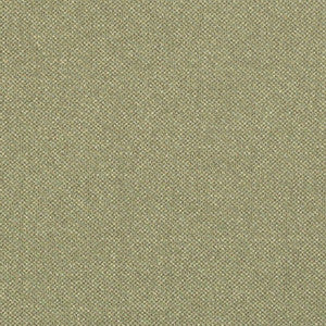 D3244 by Charlotte Fabric