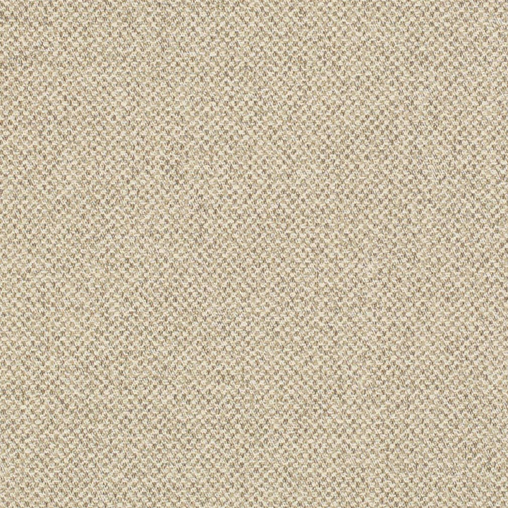 D3272 by Charlotte Fabric Old World Classics II 50% Polyester, 25% Acrylic, 25% Cotton Spain Exceeds 60,000 Wyzenbeek Rubs (Heavy Duty) No Repeat 54 Inches - Fabric Carolina -