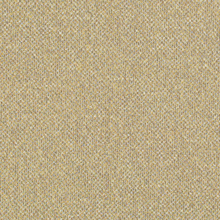 D3273 by Charlotte Designer Fabric Old World Classics II 50% Polyester, 25% Acrylic, 25% Cotton Spain Exceeds 60,000 Wyzenbeek Rubs (Heavy Duty) No Repeat 54 Inches - Swanky Fabrics -