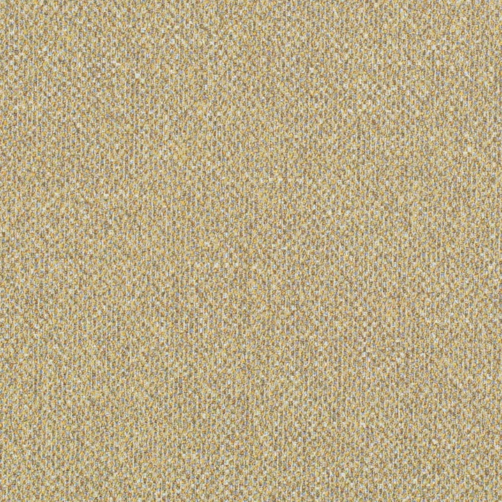 D3273 by Charlotte Fabric Old World Classics II 50% Polyester, 25% Acrylic, 25% Cotton Spain Exceeds 60,000 Wyzenbeek Rubs (Heavy Duty) No Repeat 54 Inches - Fabric Carolina -