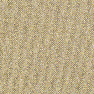 D3273 by Charlotte Fabric