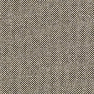 D3276 by Charlotte Fabric