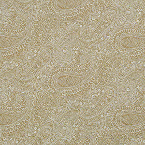 D3279 by Charlotte Fabric