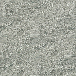 D3281 by Charlotte Fabric