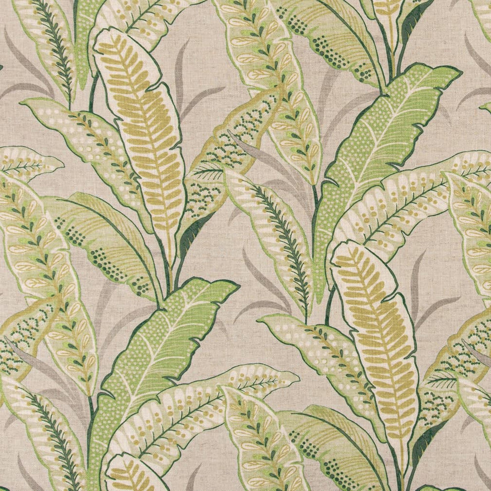 D3306 Leaf by Charlotte Fabric Linen Prints 95% Polyester, 5% Linen Asia Exceeds 100,000 Wyzenbeek Rubs (Heavy Duty) </p><p>Repeat: Horizontal 28" x Vertical 26" 54 Inches - Fabric Carolina -