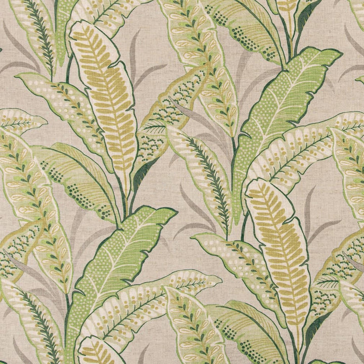D3306 Leaf by Charlotte Fabric Linen Prints 95% Polyester, 5% Linen Asia Exceeds 100,000 Wyzenbeek Rubs (Heavy Duty) </p><p>Repeat: Horizontal 28" x Vertical 26" 54 Inches - Fabric Carolina -