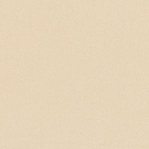 D3377 Driftwood by Charlotte Fabric