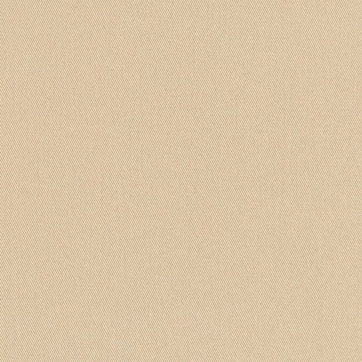 D3379 Barley by Charlotte Fabric Washed Cotton 20oz, 100% Cotton Made In USA Exceeds 20,0000 Wyzenbeek Rubs (Heavy Duty) </p><p>Repeat: No Repeat 54 Inches - Fabric Carolina -