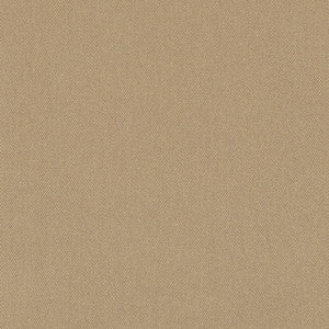 D3380 Putty by Charlotte Fabric