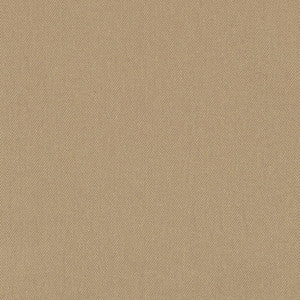 D3380 Putty by Charlotte Fabric