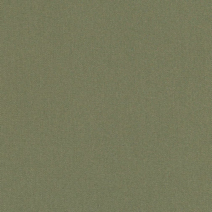D3383 Army by Charlotte Fabric Washed Cotton 20oz, 100% Cotton Made In USA Exceeds 20,0000 Wyzenbeek Rubs (Heavy Duty) </p><p>Repeat: No Repeat 54 Inches - Fabric Carolina -