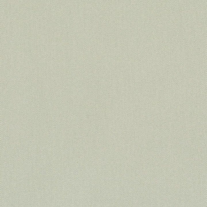 D3385 Mint by Charlotte Fabric Washed Cotton 20oz, 100% Cotton Made In USA Exceeds 20,0000 Wyzenbeek Rubs (Heavy Duty) </p><p>Repeat: No Repeat 54 Inches - Fabric Carolina -