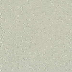 D3385 Mint by Charlotte Fabric