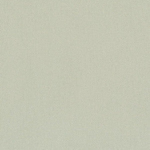 D3385 Mint by Charlotte Fabric