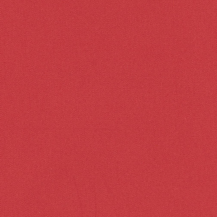 D3401 Apple by Charlotte Fabric Washed Cotton 20oz, 100% Cotton Made In USA Exceeds 20,0000 Wyzenbeek Rubs (Heavy Duty) </p><p>Repeat: No Repeat 54 Inches - Fabric Carolina -