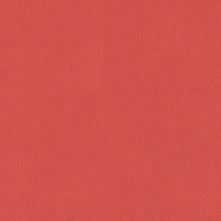 D3402 Coral by Charlotte Fabric Washed Cotton 20oz, 100% Cotton Made In USA Exceeds 20,0000 Wyzenbeek Rubs (Heavy Duty) </p><p>Repeat: No Repeat 54 Inches - Fabric Carolina -