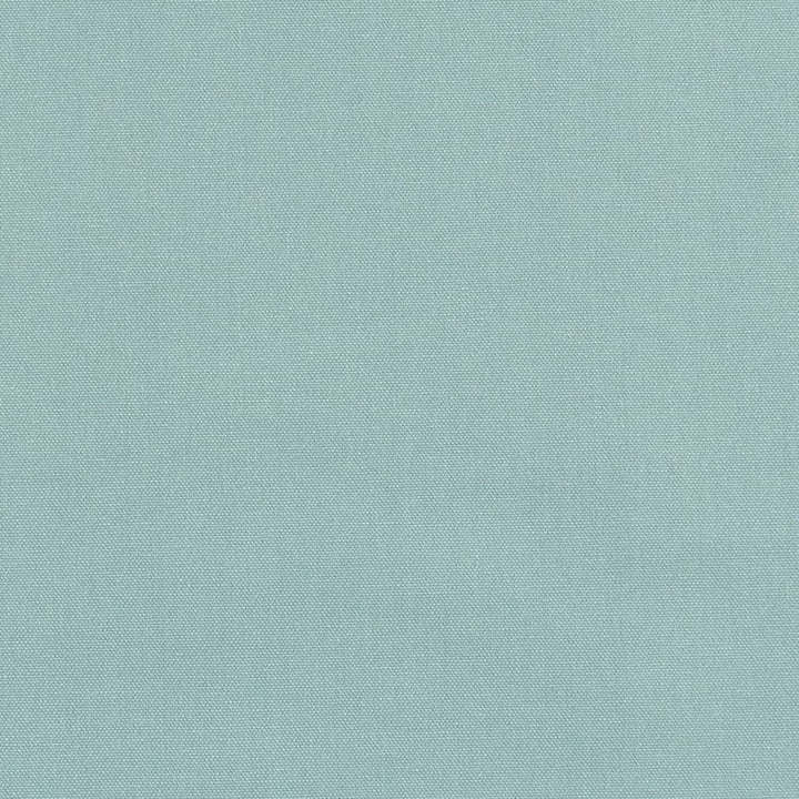 D3413 Sea by Charlotte Fabric Washed Cotton 16oz, 100% Cotton Made In USA Exceeds 20,0000 Wyzenbeek Rubs (Heavy Duty) </p><p>Repeat: No Repeat 54 Inches - Fabric Carolina -
