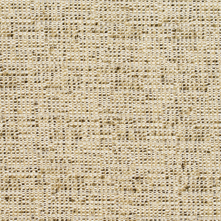 D341 Spring by Charlotte Designer Fabric Crypton Volume 2 54% Olefin, 46% Polyester Made In USA Exceeds 60,000 Wyzenbeek Rubs (Heavy Duty) No Repeat 54 Inches - Swanky Fabrics -
