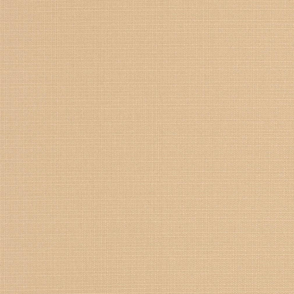 D3424 by Charlotte Fabric Cabana 100% Solution Dyed Acrylic Asia Exceeds 120,000 Wyzenbeek Rubs (Heavy Duty) No Repeat 54 Inches - Fabric Carolina -