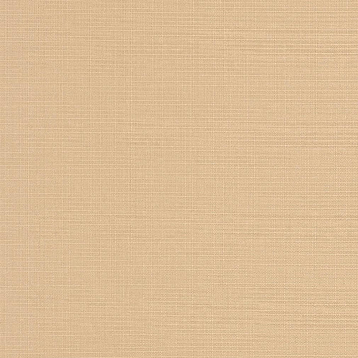 D3424 by Charlotte Fabric Cabana 100% Solution Dyed Acrylic Asia Exceeds 120,000 Wyzenbeek Rubs (Heavy Duty) No Repeat 54 Inches - Fabric Carolina -