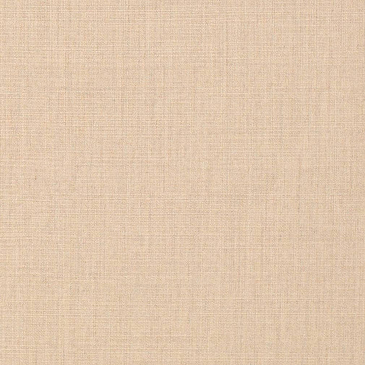 D3428 by Charlotte Fabric Cabana 100% Solution Dyed Acrylic Asia Exceeds 120,000 Wyzenbeek Rubs (Heavy Duty) No Repeat 54 Inches - Fabric Carolina -