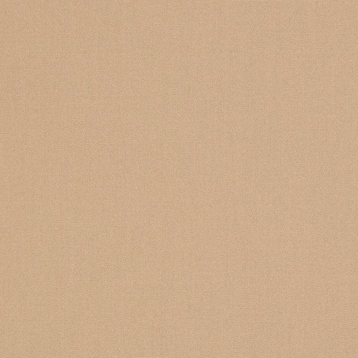 D3436 by Charlotte Fabric Cabana 100% Solution Dyed Acrylic Asia Exceeds 120,000 Wyzenbeek Rubs (Heavy Duty) No Repeat 54 Inches - Fabric Carolina -