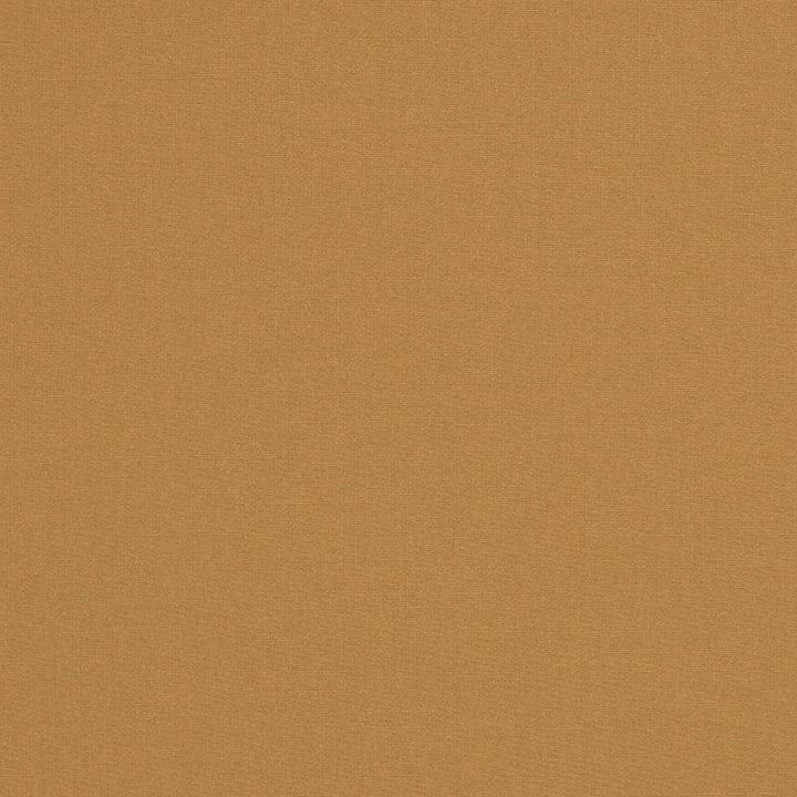 D3440 by Charlotte Fabric Cabana 100% Solution Dyed Acrylic Asia Exceeds 120,000 Wyzenbeek Rubs (Heavy Duty) No Repeat 54 Inches - Fabric Carolina -