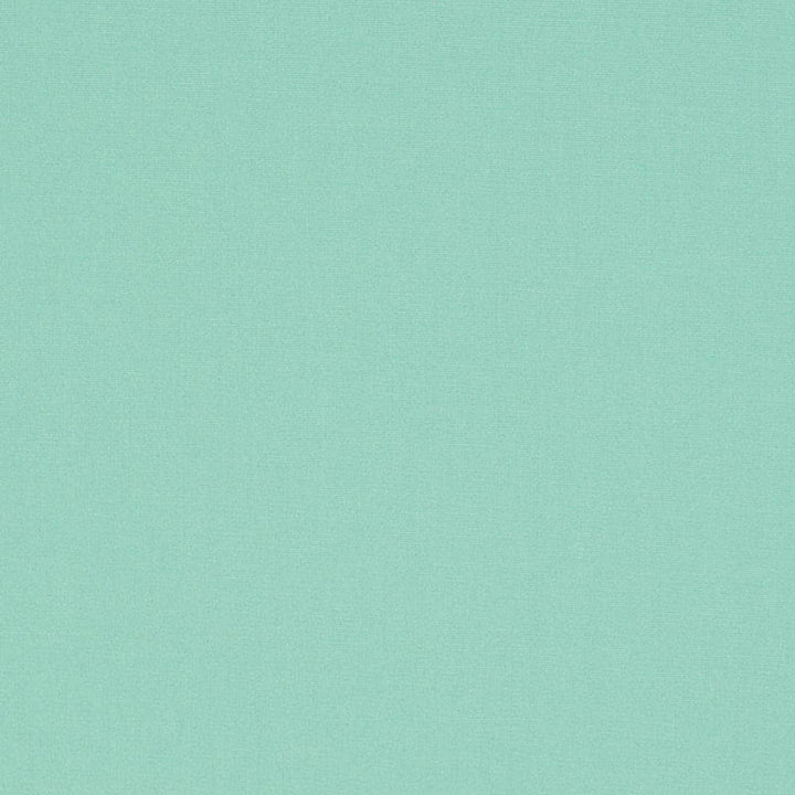 D3447 by Charlotte Fabric Cabana 100% Solution Dyed Acrylic Asia Exceeds 120,000 Wyzenbeek Rubs (Heavy Duty) No Repeat 54 Inches - Fabric Carolina -