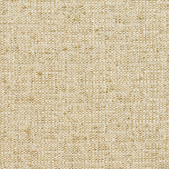 D344 Meadow by Charlotte Fabric Crypton Volume 2 54% Olefin, 46% Polyester Made In USA Exceeds 60,000 Wyzenbeek Rubs (Heavy Duty) </p><p>Repeat: 54 Inches - Fabric Carolina -