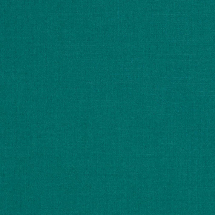 D3457 by Charlotte Fabric Cabana 100% Solution Dyed Acrylic Asia Exceeds 120,000 Wyzenbeek Rubs (Heavy Duty) No Repeat 54 Inches - Fabric Carolina -