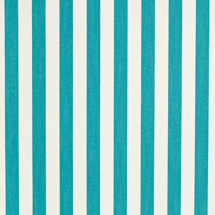 D3462 by Charlotte Fabric Cabana 100% Solution Dyed Acrylic Asia Exceeds 120,000 Wyzenbeek Rubs (Heavy Duty) Horizontal 2" 54 Inches - Fabric Carolina -