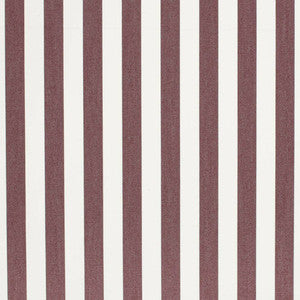 D3465 by Charlotte Fabric