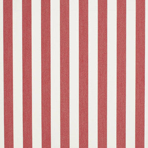 D3466 by Charlotte Fabric