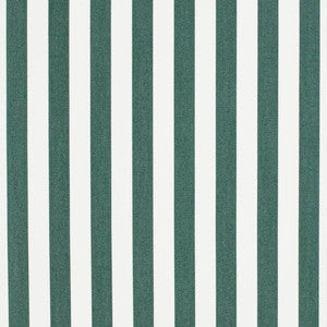 D3467 by Charlotte Fabric