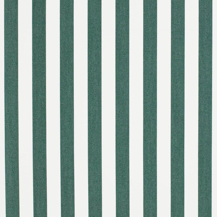 D3467 by Charlotte Fabric Cabana 100% Solution Dyed Acrylic Asia Exceeds 120,000 Wyzenbeek Rubs (Heavy Duty) Horizontal 2" 54 Inches - Fabric Carolina -