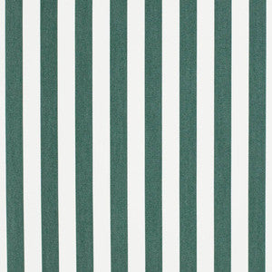 D3467 by Charlotte Fabric