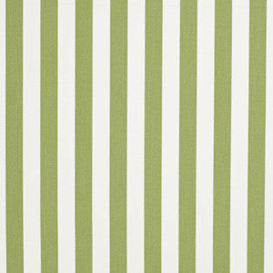 D3470 by Charlotte Fabric