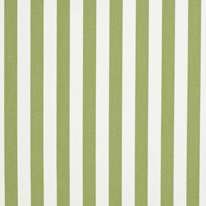 D3470 by Charlotte Fabric