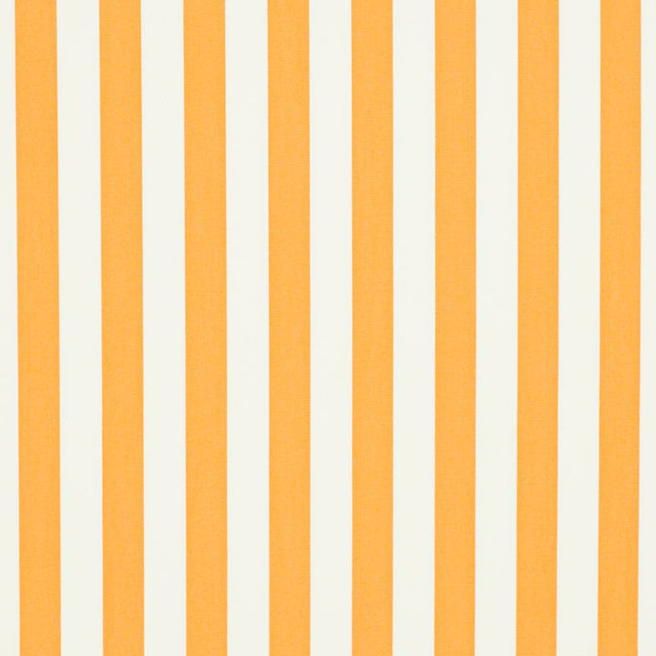 D3476 by Charlotte Fabric Cabana 100% Solution Dyed Acrylic Asia Exceeds 120,000 Wyzenbeek Rubs (Heavy Duty) Horizontal 2" 54 Inches - Fabric Carolina -