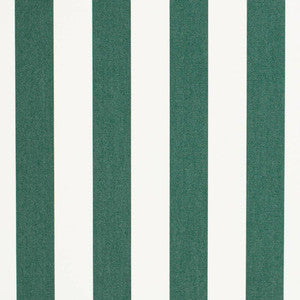 D3482 by Charlotte Fabric