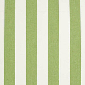D3485 by Charlotte Fabric