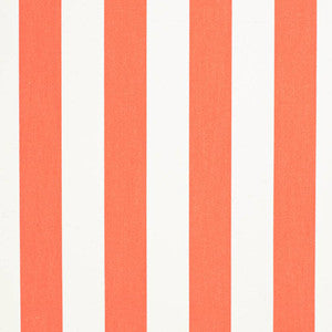 D3488 by Charlotte Fabric