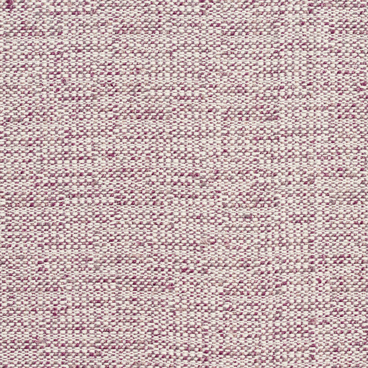 D348 Iris by Charlotte Designer Fabric Crypton Volume 2 54% Olefin, 46% Polyester Made In USA Exceeds 60,000 Wyzenbeek Rubs (Heavy Duty) No Repeat 54 Inches - Swanky Fabrics -