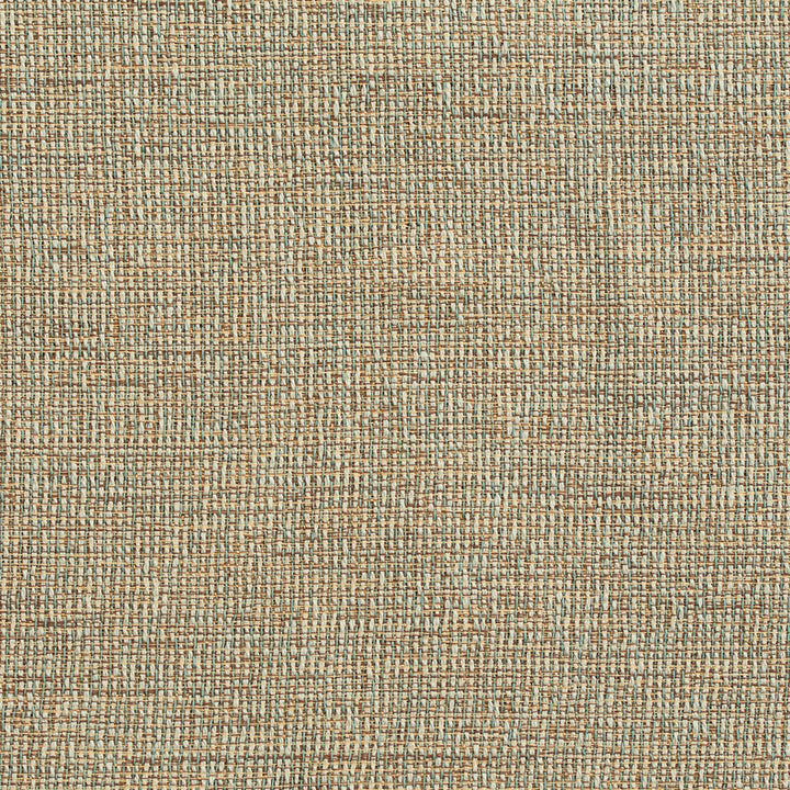 D350 Sage by Charlotte Fabric Crypton Volume 2 60% Cotton, 40% Polyester Made In USA Exceeds 66,000 Wyzenbeek Rubs (Heavy Duty) No Repeat 54 Inches - Fabric Carolina -
