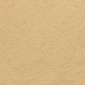 D3564 by Charlotte Fabric