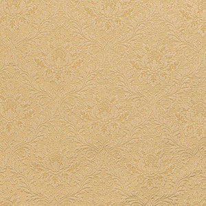 D3564 by Charlotte Fabric