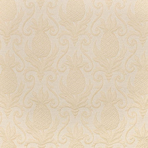 D3573 by Charlotte Fabric