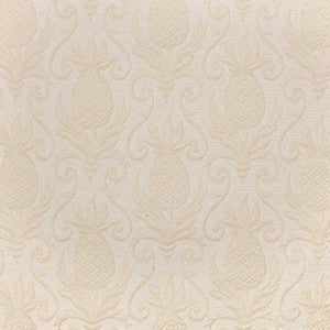 D3576 by Charlotte Fabric